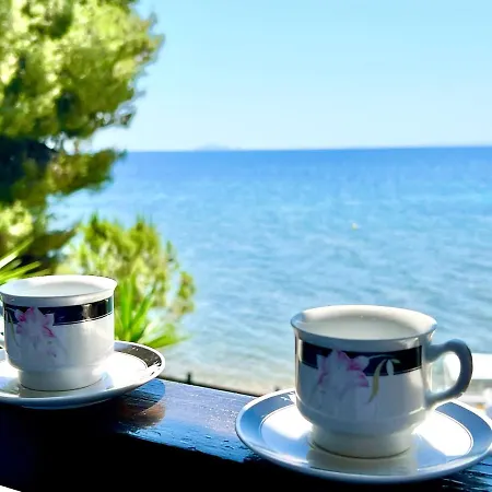 The House By The Sea Apartament