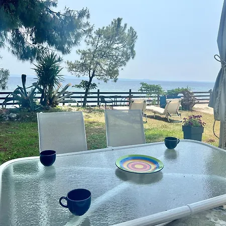 The House By The Sea