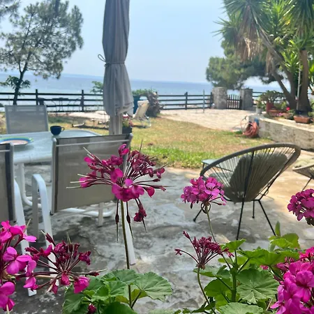 Lägenhet The House By The Sea Metamorfosi (Sithonia)