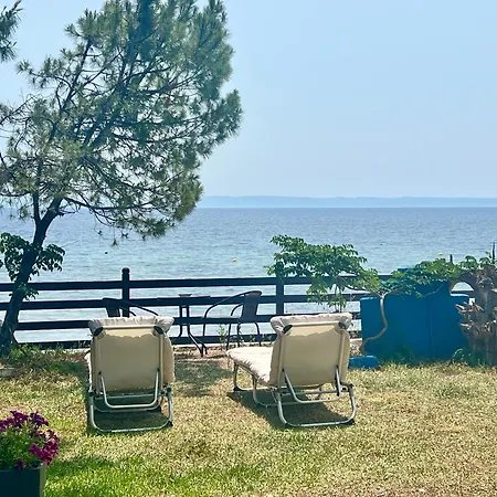 The House By The Sea מטהמורפוסי